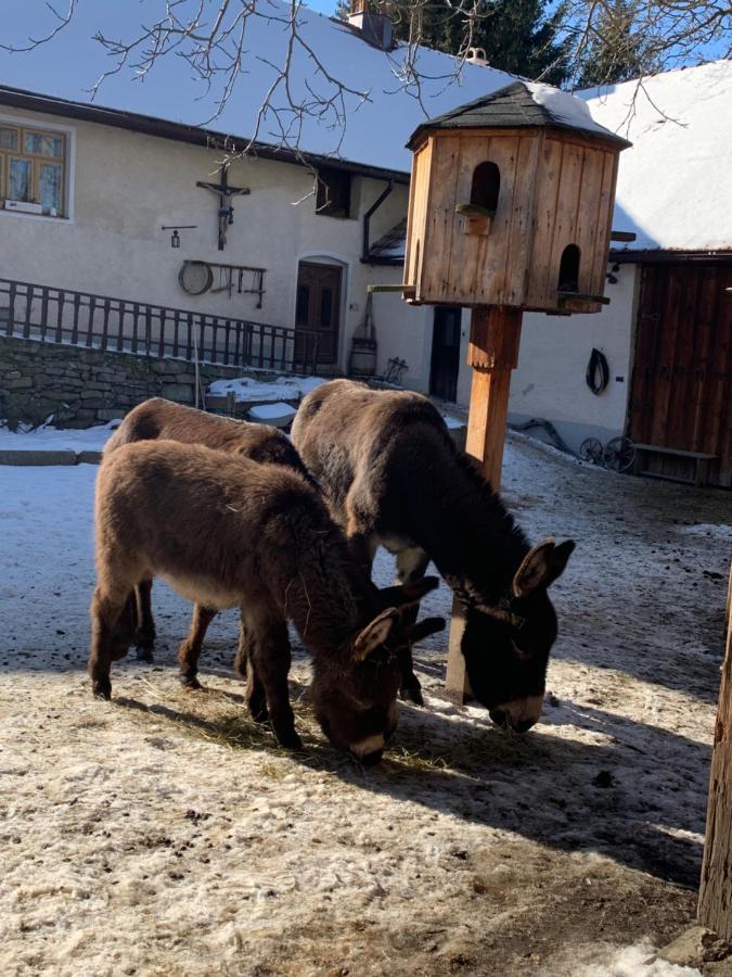 Chalupa Gretl Pohorsko Екстериор снимка